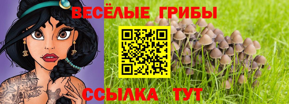 Псилоцибиновые грибы Psilocybe  Вход с VPN  Ишимбай 